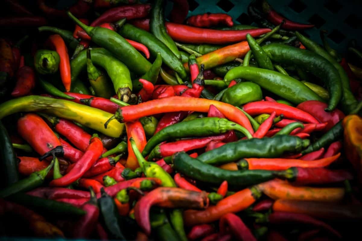 pile of green and red chilis